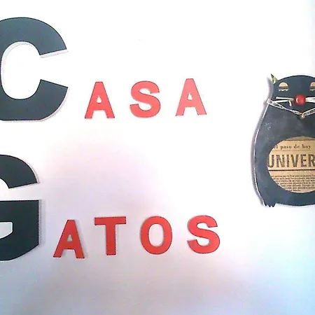 Casa Gatos
