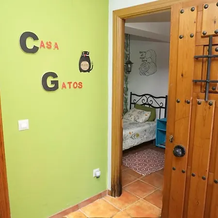 Casa Gatos Apartment