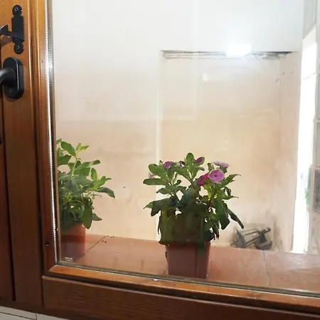 Casa Gatos Apartment *