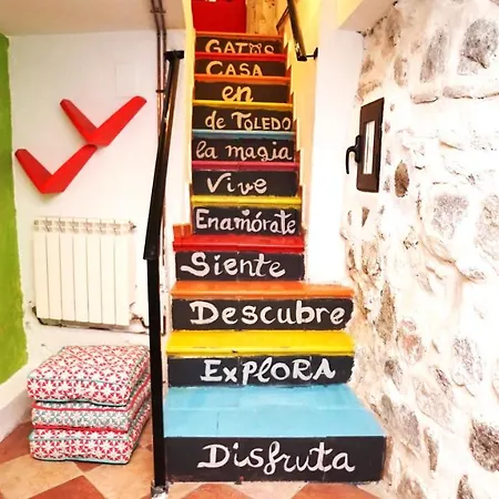 Casa Gatos *