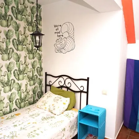 Casa Gatos *