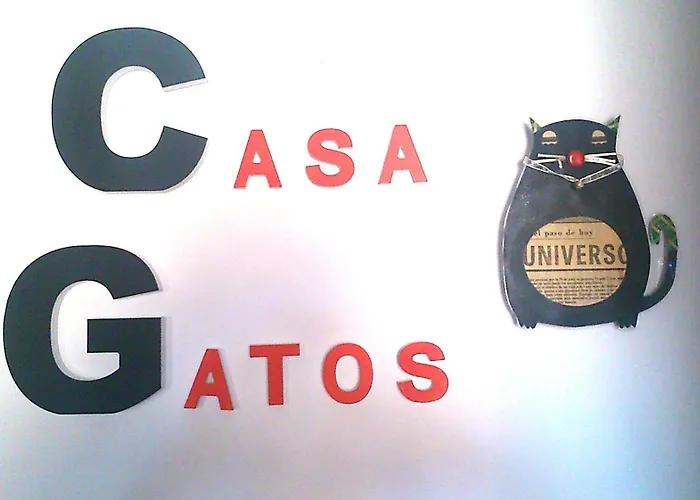 Casa Gatos